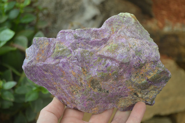 Natural Stichtite Cobbed Specimens x 2 From Barberton, South Africa