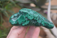 Polished Flower Banded Malachite Free Forms x 6 From Congo