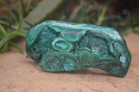 Polished Flower Banded Malachite Free Forms x 6 From Congo