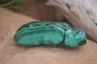 Polished Flower Banded Malachite Free Forms x 6 From Congo