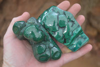 Polished Flower Banded Malachite Free Forms x 6 From Congo