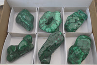 Polished Flower Banded Malachite Free Forms x 6 From Congo