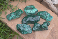 Polished Flower Banded Malachite Free Forms x 6 From Congo