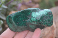 Polished Flower Banded Malachite Free Forms x 6 From Congo