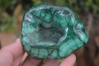 Polished Flower Banded Malachite Free Forms x 6 From Congo