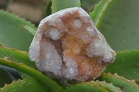 Natural Ametrine Spirit Quartz Clusters x 3 From Boekenhouthoek, South Africa