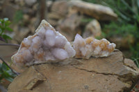 Natural Ametrine Spirit Quartz Clusters x 3 From Boekenhouthoek, South Africa