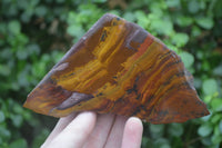 Polished On One Side Nguni Jasper Specimens x 3 From Prieska, South Africa