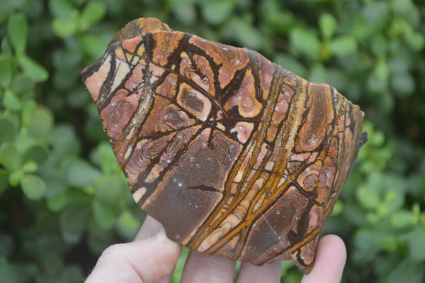 Polished On One Side Nguni Jasper Specimens x 3 From Prieska, South Africa