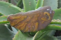 Polished On One Side Nguni Jasper Specimens x 3 From Prieska, South Africa