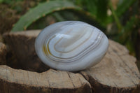 Polished Banded Agate Palm Stones x 24 From Madagascar