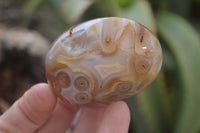 Polished Banded Agate Palm Stones x 24 From Madagascar