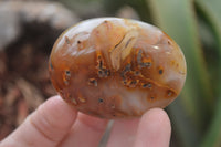 Polished Banded Agate Palm Stones x 24 From Madagascar