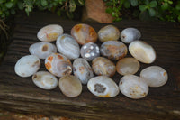 Polished Banded Agate Palm Stones x 24 From Madagascar