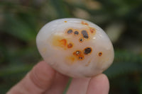 Polished Banded Agate Palm Stones x 24 From Madagascar