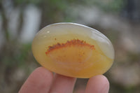 Polished Banded Agate Palm Stones x 24 From Madagascar