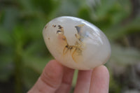 Polished Banded Agate Palm Stones x 24 From Madagascar