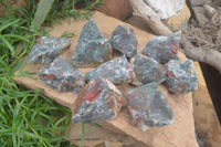 Natural Bloodstone Cobbed Specimens x 12 From Swaziland