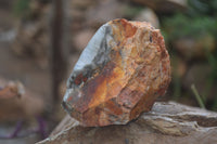 Natural Bloodstone Cobbed Specimens x 12 From Swaziland