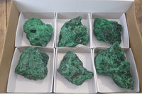 Natural Silky Malachite Specimens x 6 From Kasompe, Congo