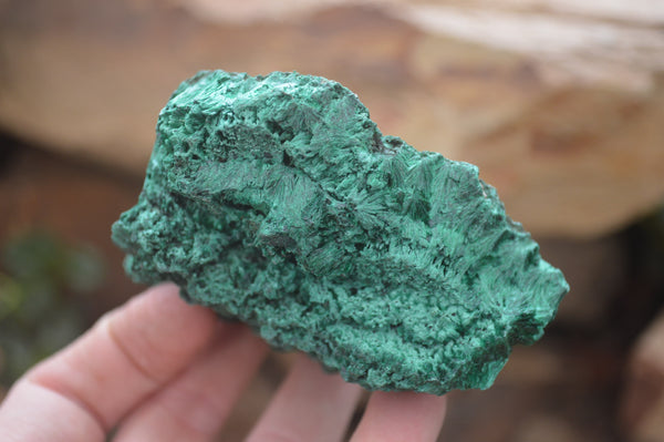 Natural Silky Malachite Specimens x 6 From Kasompe, Congo