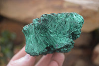 Natural Silky Malachite Specimens x 6 From Kasompe, Congo