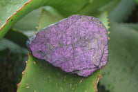 Natural Metallic Purpurite Cobbed Specimens x 12 From Erongo, Namibia