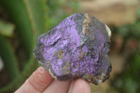 Natural Metallic Purpurite Cobbed Specimens x 12 From Erongo, Namibia