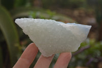 Natural Etched Blue Chalcedony Specimens x 12 From Nsanje, Malawi