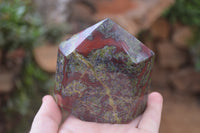 Polished Dragon Bloodstone Points x 2 From South Africa