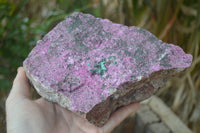 Natural Salrose Cobaltion Dolomite Specimen x 1 From Kakanda, Congo