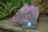 Natural Salrose Cobaltion Dolomite Specimen x 1 From Kakanda, Congo