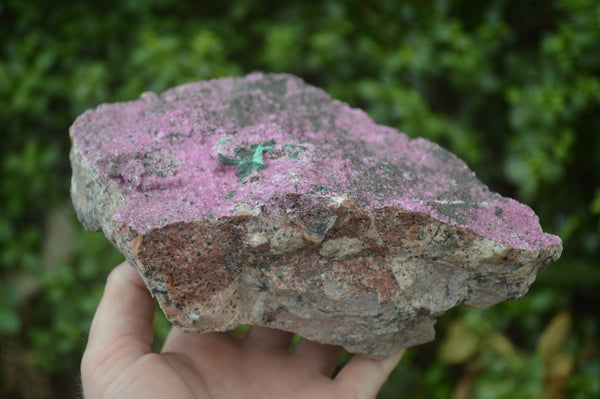 Natural Salrose Cobaltion Dolomite Specimen x 1 From Kakanda, Congo