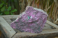 Natural Salrose Cobaltion Dolomite Specimen x 1 From Kakanda, Congo