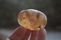 Polished Flower Agate Palm Stones x 24 From Antsahalova, Madagascar