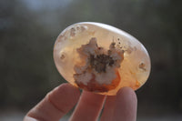 Polished Flower Agate Palm Stones x 24 From Antsahalova, Madagascar