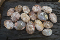 Polished Flower Agate Palm Stones x 24 From Antsahalova, Madagascar