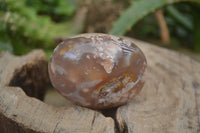 Polished Flower Agate Palm Stones x 24 From Antsahalova, Madagascar