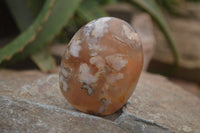 Polished Flower Agate Palm Stones x 24 From Antsahalova, Madagascar