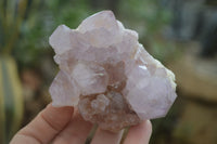 Natural Amethyst Cactus Flower Spirit Quartz Clusters x 6 From Boekenhouthoek, South Africa