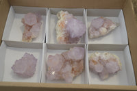 Natural Amethyst Cactus Flower Spirit Quartz Clusters x 6 From Boekenhouthoek, South Africa