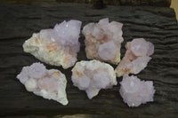 Natural Amethyst Cactus Flower Spirit Quartz Clusters x 6 From Boekenhouthoek, South Africa