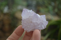 Natural Amethyst Cactus Flower Spirit Quartz Clusters x 6 From Boekenhouthoek, South Africa