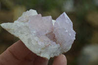 Natural Amethyst Cactus Flower Spirit Quartz Clusters x 6 From Boekenhouthoek, South Africa