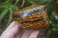 Polished Tiger's Eye Free Forms x 3 From Prieska, South Africa