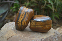 Polished Tiger's Eye Free Forms x 3 From Prieska, South Africa