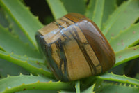 Polished Tiger's Eye Free Forms x 4 From Prieska, South Africa