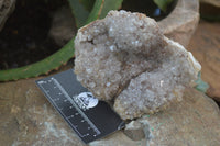 Natural Zululand Amethyst Geodes x 4 from Jozini, South Africa