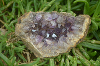 Natural Zululand Amethyst Geodes x 4 from Jozini, South Africa