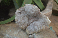 Natural Zululand Amethyst Geodes x 4 from Jozini, South Africa